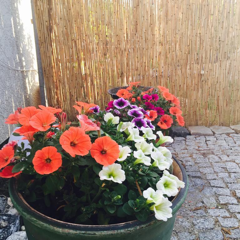 Apartament Arte Povera Slubice  Exterior photo